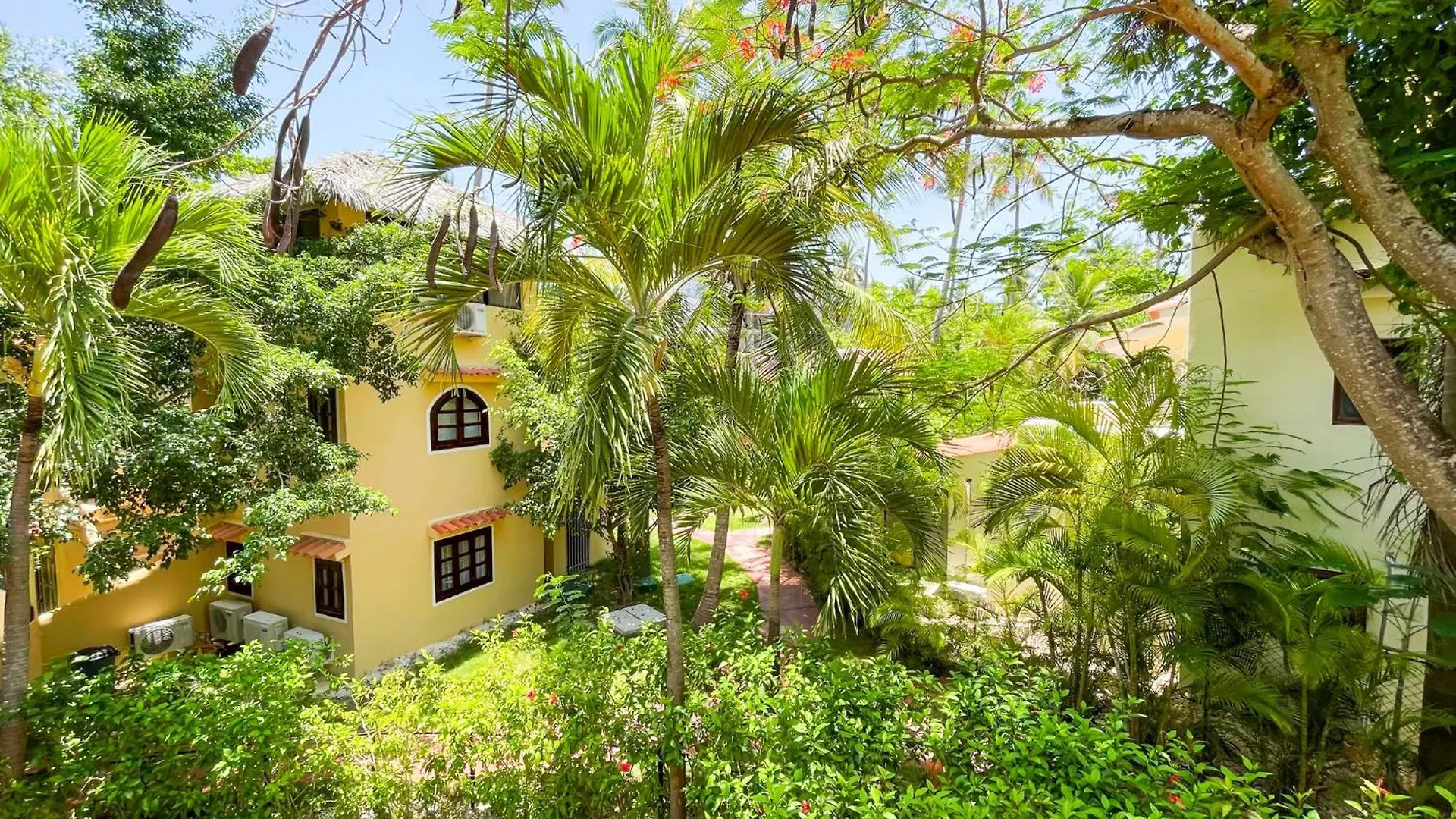 Caribbean Mojito Beach Hotel Wifi Villas And Apartments Long Term Los Corales Beach Club & Spa Punta Cana