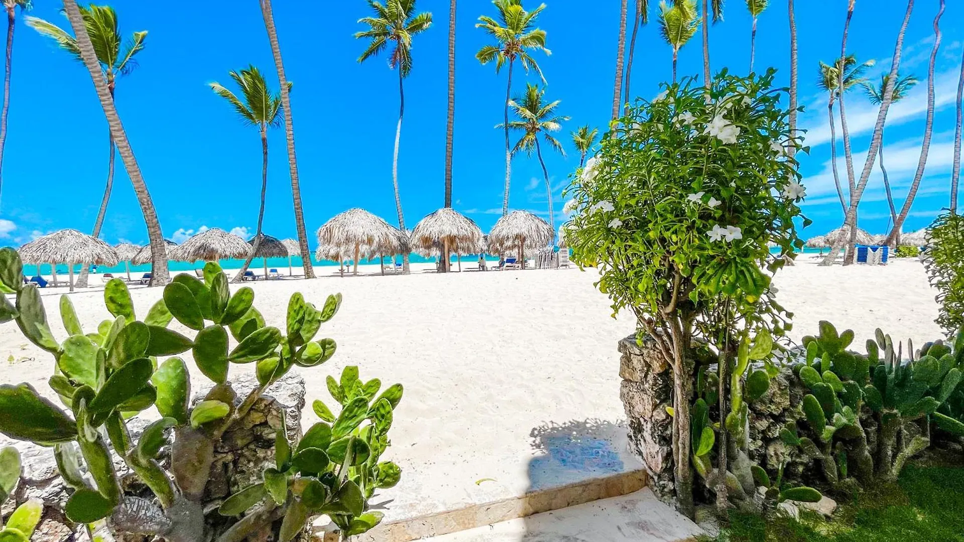 Caribbean Mojito Beach Hotel Wifi Villas And Apartments Long Term Los Corales Beach Club & Spa Punta Cana 5*,  República Dominicana
